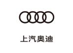 开云电子奥迪