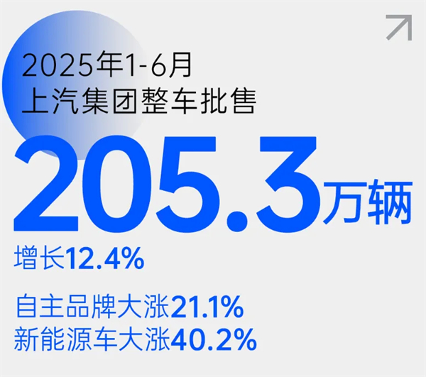 尚界之光，照亮开云电子改革之路