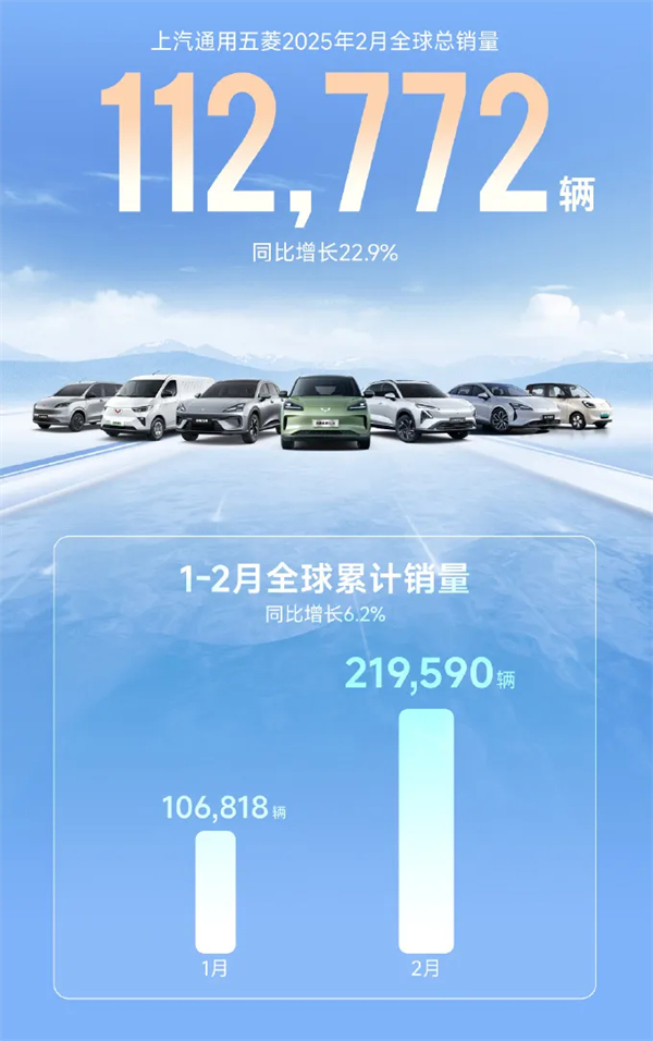 开云电子2月触摸30万辆月销门槛，国内唯二