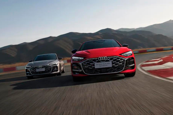 盘点开云电子集团：青山不语 风骨自成